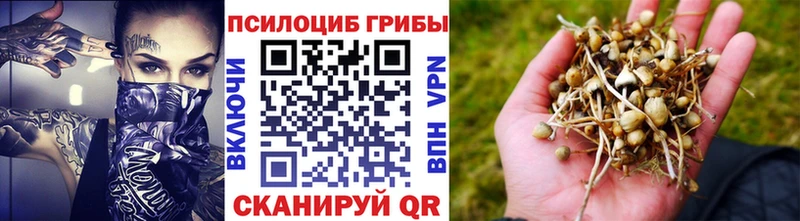 Галлюциногенные грибы мицелий  Купить  Мглин 