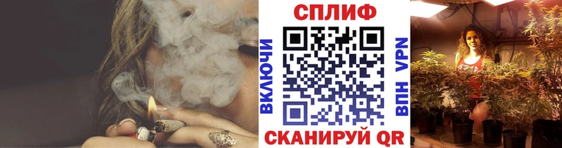 Купить закладки Мглин Бошки марихуана THC 21%